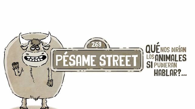 pesame street